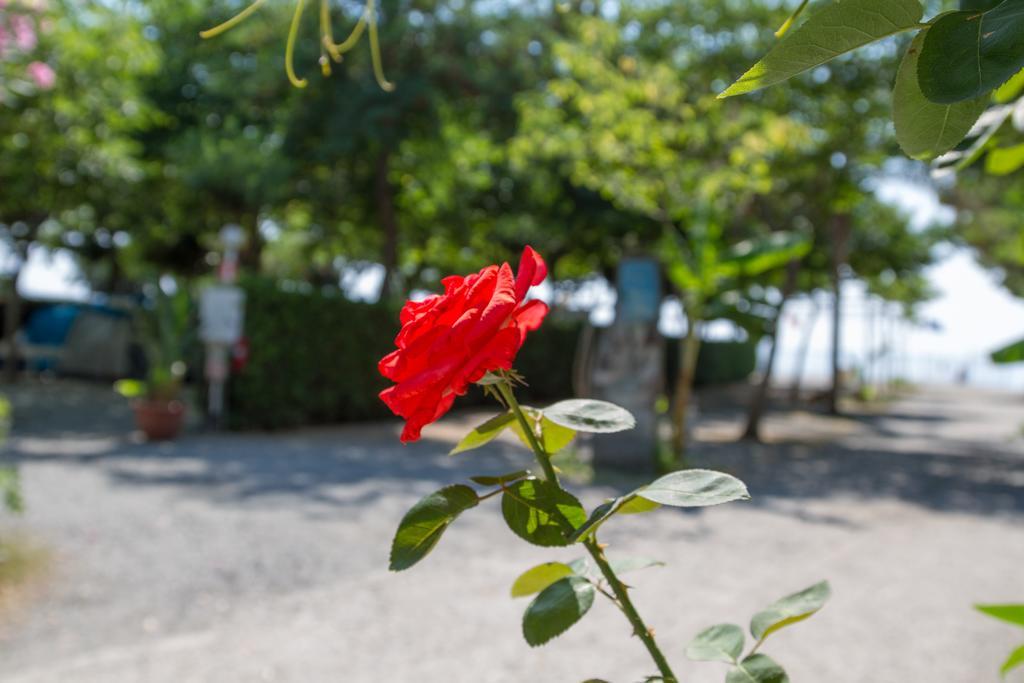 Camping La Focetta Sicula Sant'Alessio Siculo Eksteriør billede